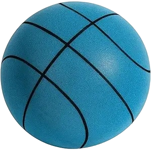 Silent Basketball Size 7 Indoor Training
