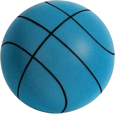 Silent Basketball Size 7