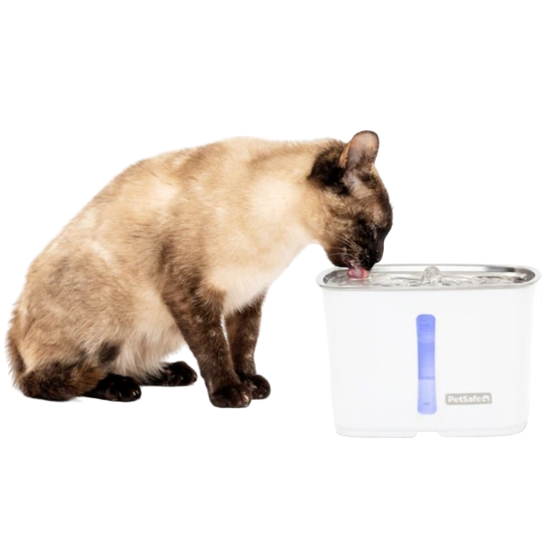 Viva 64 oz Stainless Steel Pet Fountain