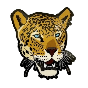 Jaguar Vinyl