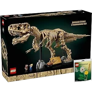 Dinosaurs Box